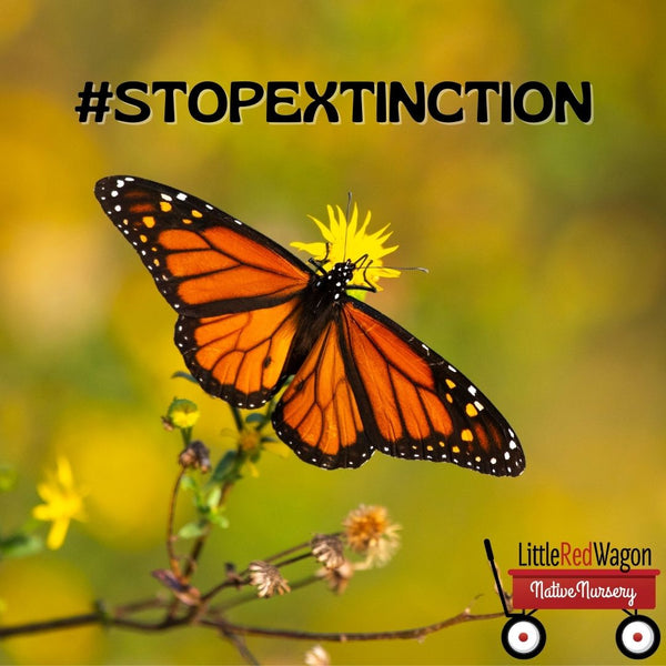 #StopExtinction Now