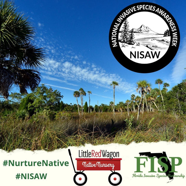 Nurture Native and Combat Invasive Species