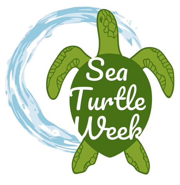 It's World Sea Turtle Day.  Plant Florida Native Plants to Help Save Them.