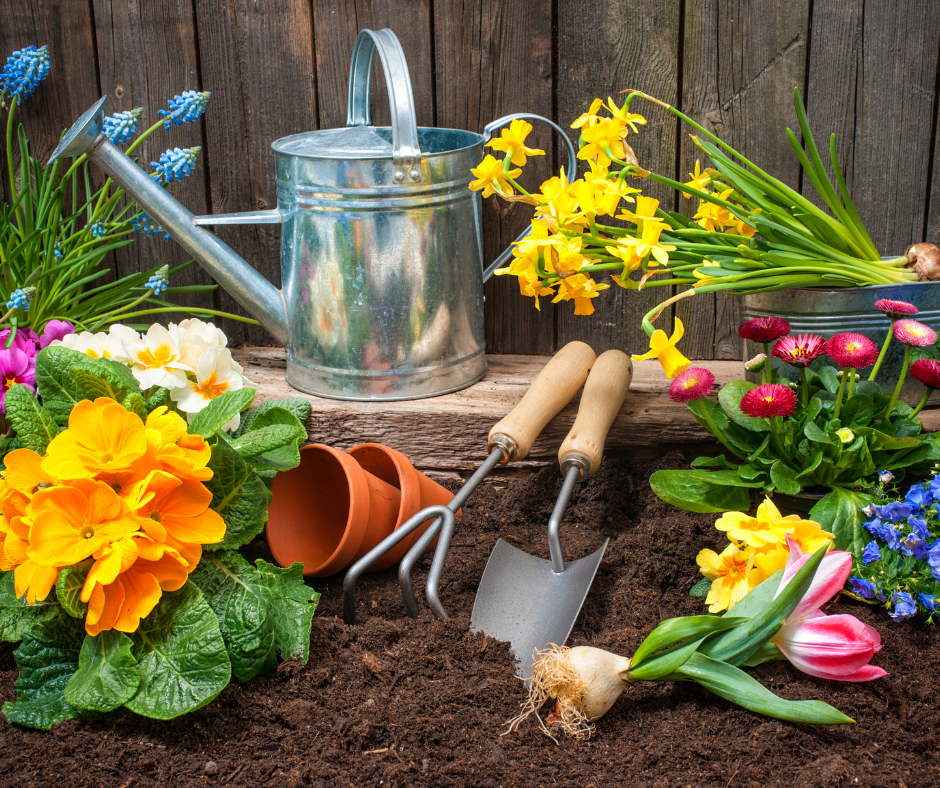 Gardening & Outdoor Accessories: Grow Kits, Planters, Statues
