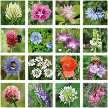 Load image into Gallery viewer, “I Love You” Wildflower Seed Box – Gift Set (9)
