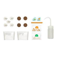 Load image into Gallery viewer, Window Garden DIY Growing Plant Kit for Kids