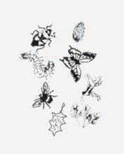Load image into Gallery viewer, Solar Print Kit