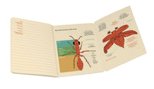 Load image into Gallery viewer, Insect (Entomology) Notebook