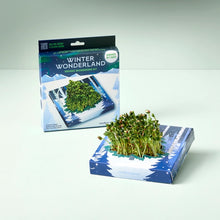 Load image into Gallery viewer, Organic Microgreens Kit - Winter Wonderland
