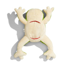 Load image into Gallery viewer, Froggie Dissection Lab, Anatomy Learning Toy for Kids