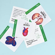 Load image into Gallery viewer, Froggie Dissection Lab, Anatomy Learning Toy for Kids