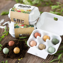 Load image into Gallery viewer, Egg Carton “Hello Spring” – 6 Wildflower Seed Bombs