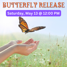 Load image into Gallery viewer, Butterfly Release