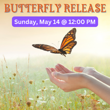 Load image into Gallery viewer, Butterfly Release