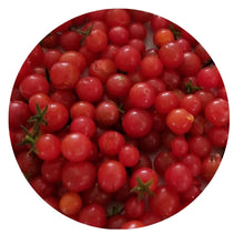 Load image into Gallery viewer, Everglades Tomato - Solanum pimpinellifolium (1 gal.)