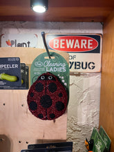 Load image into Gallery viewer, Fred & Friends