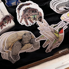 Load image into Gallery viewer, Allison Stoiser Art