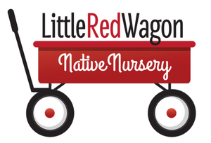 Little Red Wagon Native Nursery