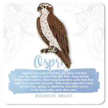 Load image into Gallery viewer, Enamel & Wood Pins - Botanical Bright