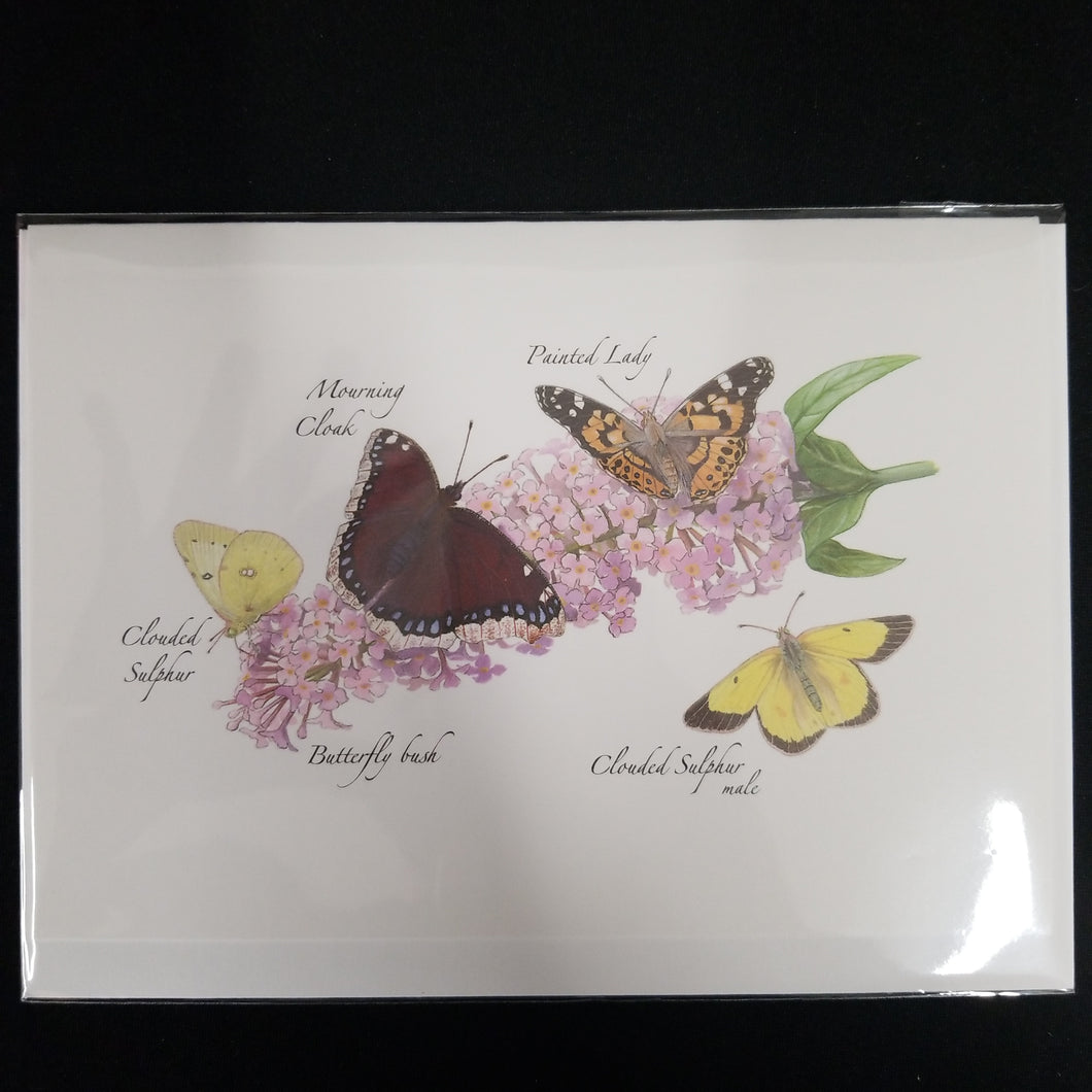 Four Butterflies on a Bush card