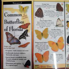 Load image into Gallery viewer, Common Butterflies of Florida Guide
