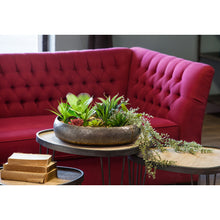 Load image into Gallery viewer, Nested Succulent or Dish Garden Planters