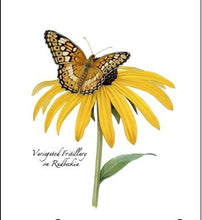 Load image into Gallery viewer, Greeting Card Packs