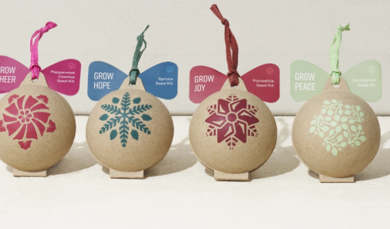 Ornament Seed Kit - peppermint