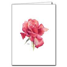 Load image into Gallery viewer, Greeting Card Packs