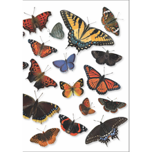 Load image into Gallery viewer, Greeting Card Packs