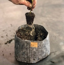 Load image into Gallery viewer, Root Pouch- 1 Gallon