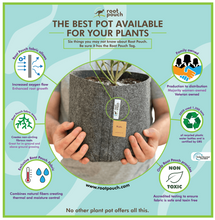 Load image into Gallery viewer, Root Pouch- 1 Gallon