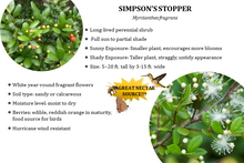 Load image into Gallery viewer, Simpson's stopper - Myrcianthes fragrans (3 gal.)