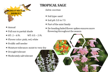 Load image into Gallery viewer, Mixed Tropical Sage - Salvia coccinea (1 gal.)
