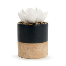 Load image into Gallery viewer, Succulent Oil Diffuser