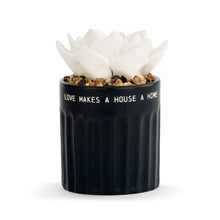 Load image into Gallery viewer, Succulent Oil Diffuser