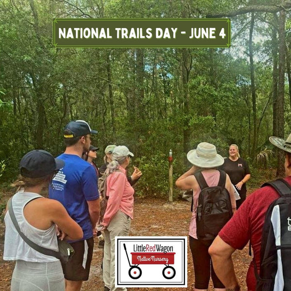 Take a Hike and Celebrate National Trails Day