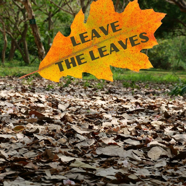 Leave The Leaves
