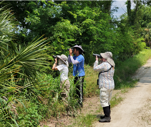 Butterfly Walk at Picnic Island