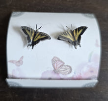 Load image into Gallery viewer, Butterfly Earrings
