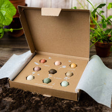 Load image into Gallery viewer, “I Love You” Wildflower Seed Box – Gift Set (9)
