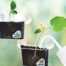 Load image into Gallery viewer, Window Garden DIY Growing Plant Kit for Kids
