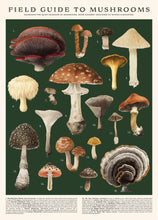 Load image into Gallery viewer, Mushrooms Puzzle – 500 Pc Tube
