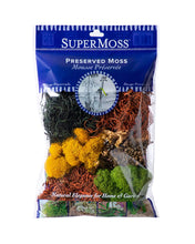Load image into Gallery viewer, Moss Mix Halloween
