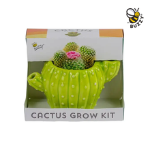 Load image into Gallery viewer, Cactus Grow Kit – Terracotta Indoor Plant Gift

