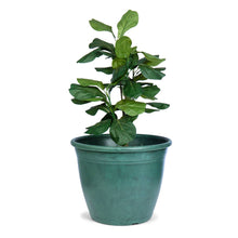 Load image into Gallery viewer, 22" Patio Planter - Patina
