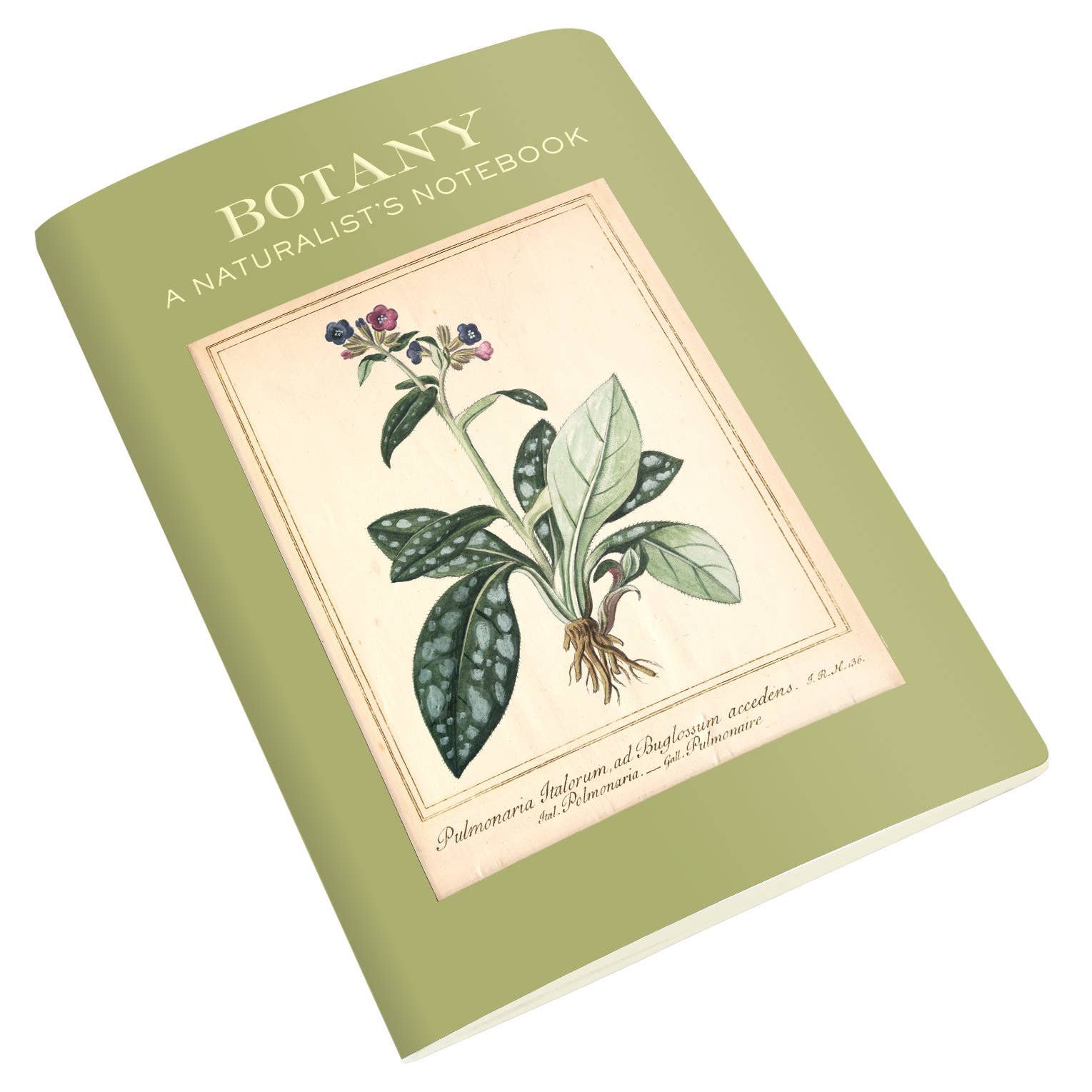 Field Notebook Examples Botany Botany Naturalist's Notebook – Little Red Wagon Native Nursery