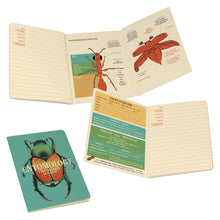 Load image into Gallery viewer, Insect (Entomology) Notebook
