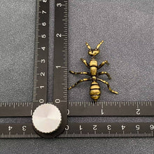 Load image into Gallery viewer, Brass Ant Desktop Decoration

