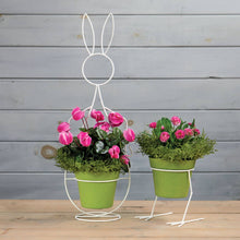 Load image into Gallery viewer, Green Chicken Feet Planter Stand w/ Pot
