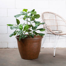 Load image into Gallery viewer, 22" Patio Planter - Rust
