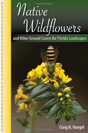 Native Wildflowers and other Ground Covers for Florida Landscapes