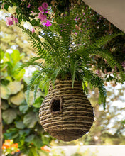 Load image into Gallery viewer, Pineapple Plantable Birdhouse
