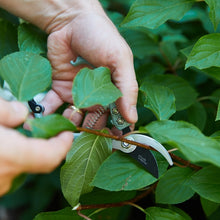 Load image into Gallery viewer, Garden Pruners - Modern Sprout
